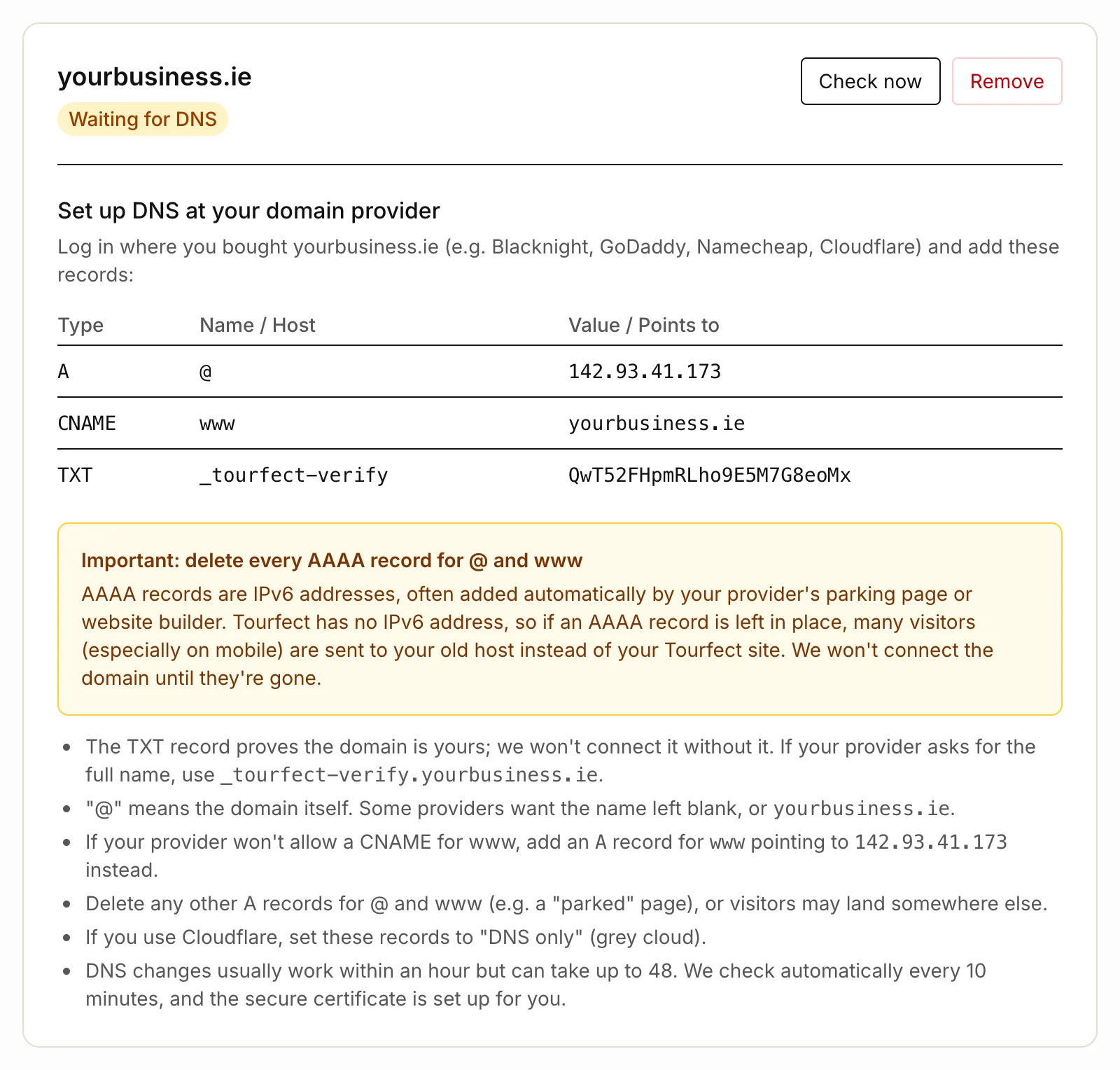 The DNS records on the Domains page
